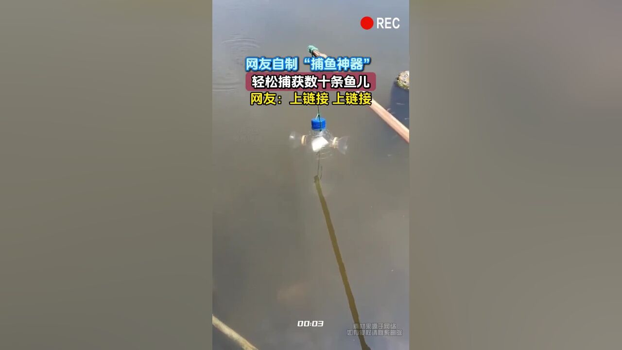 网友自制“捕鱼神器”,轻松捕获数十条鱼儿