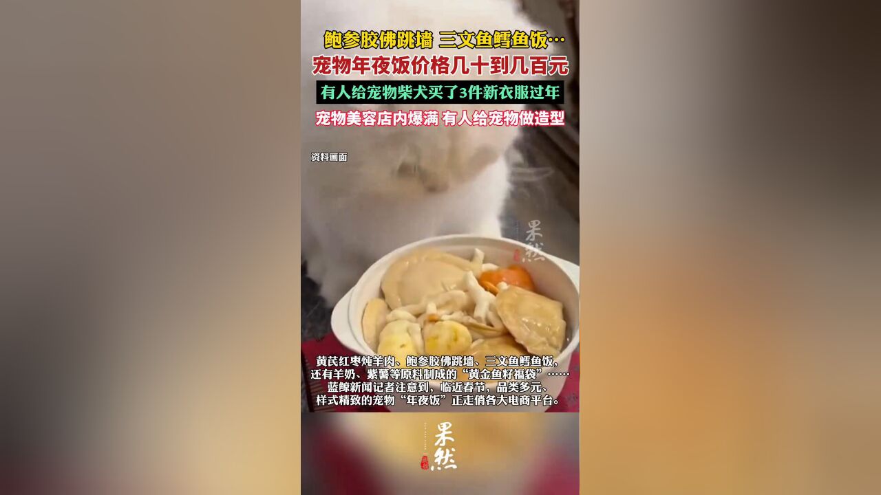 宠物年夜饭价格几十到几百元