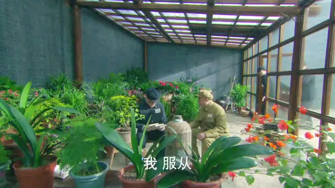 《末代皇帝传奇》第52集精彩片花