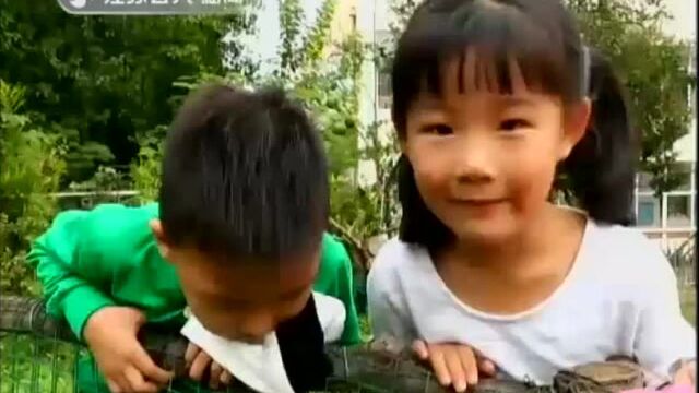 打造镇江特色的幼儿教育