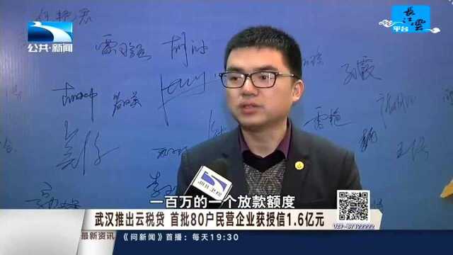 武汉推出云税贷 首批80户民营企业获授信1.6亿元