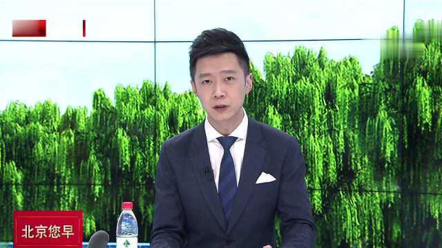 不动产登记信息网上查询上线一月 申请量近六万