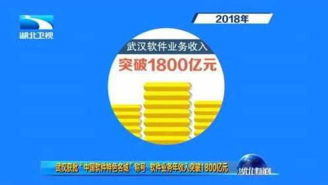 武汉获批“中国软件特色名城”称号 软件业务年收入突破1800亿元