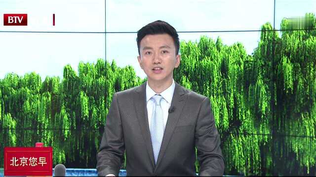 今晨快评:联合国粮农组织对于中国农业工作充分肯定和信任