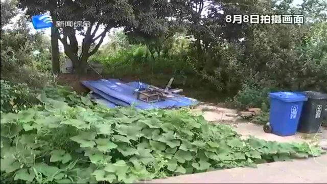 普陀被曝光点位整改环境乱象