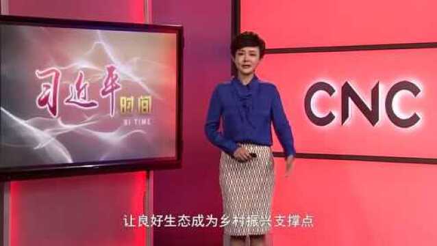 习近平时间丨让良好生态成为乡村振兴支撑点