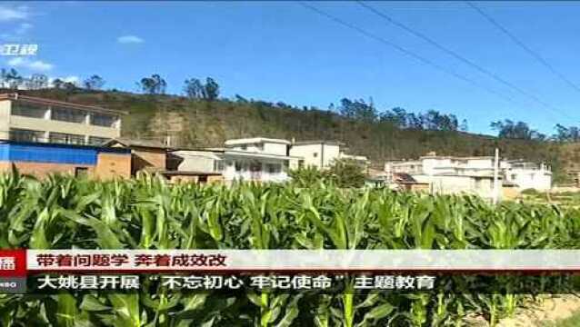 带着问题学 奔着成效改 大姚县开展“不忘初心 牢记使命”主题教育