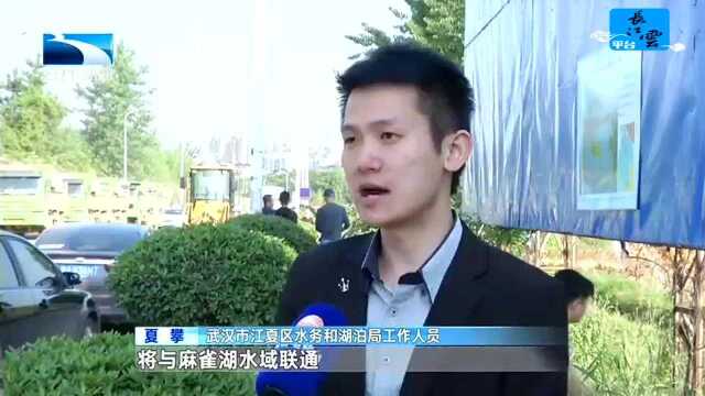 武汉江夏:填湖建房的“账”怎么还?