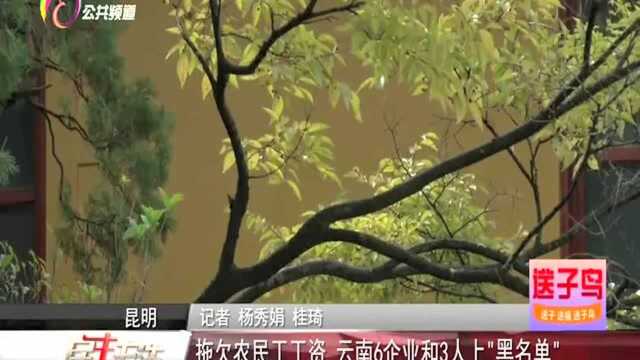 拖欠农民工工资 云南6企业和3人上“黑名单”