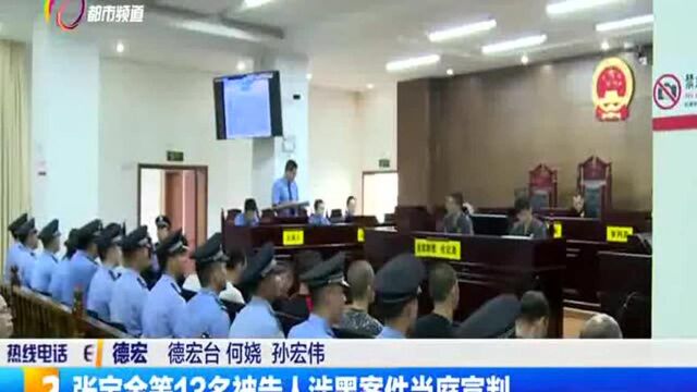 张宝金等13名被告人涉黑案件当庭宣判