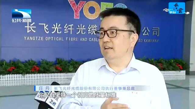 用质量提升擦亮“湖北造”金字招牌