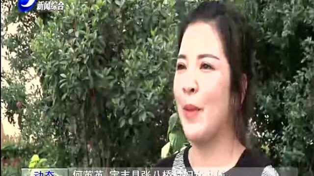 宝丰县:弘扬好家风 凝聚正能量