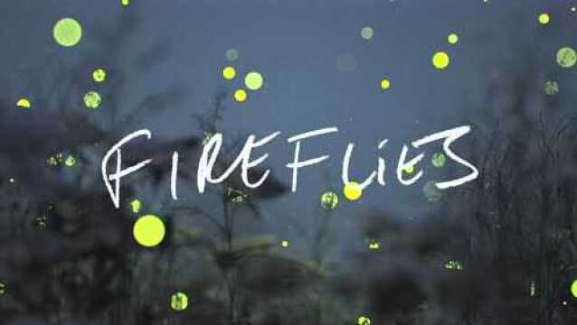 Fireflies