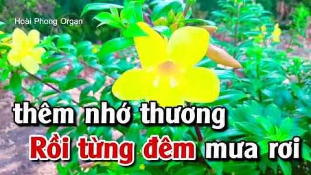 䐡𛃭 M氡 Nhớ Mẹ  Tone Nữ