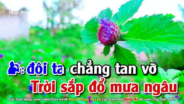 Em Về Kẻo Trời M氡  Song Ca