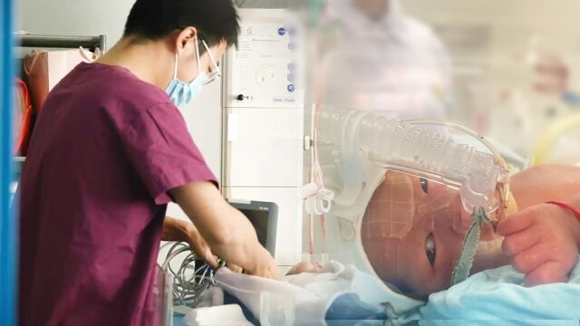 宫先生你家四宝抄家了