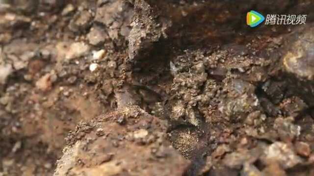 振戎润德雕刻师·王家旺