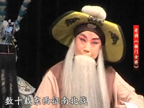 韩文梅老师《杨门女将》唱段 饰演采药人