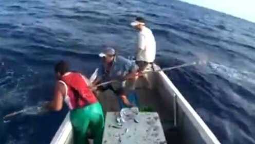 小船上硬拔金枪鱼,一不留神人就会被拉下海