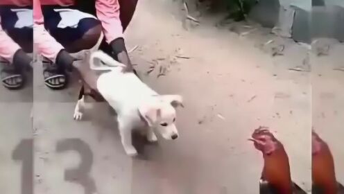 Thumbplayer Poster Plugin Image