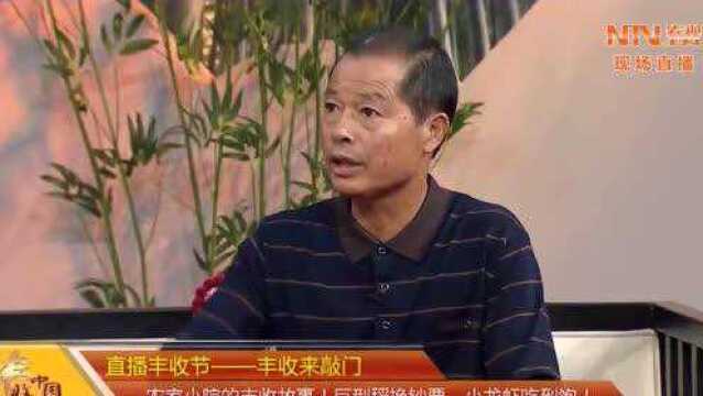 一块稻田赚到42000元?丰收致富有什么诀窍?