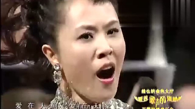 王莹《爱在天堂》王莹维也纳音乐会