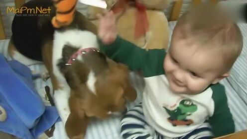 当家里有了宝宝，作为主人的你可能会失去狗子的宠爱 - 腾讯视频