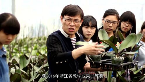 2026世界杯票务官网宣传片