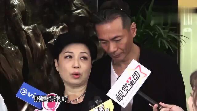 麦洁文未能见父亲最后一面亲自为亡父作画致哀