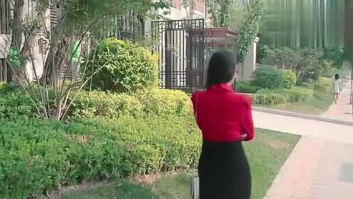 Thumbplayer Poster Plugin Image