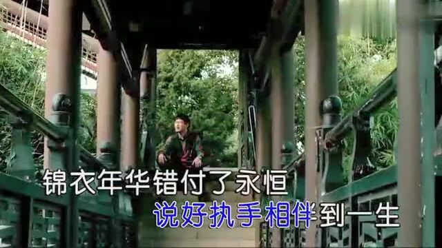 王建荣  我的情深你若懂官方MV