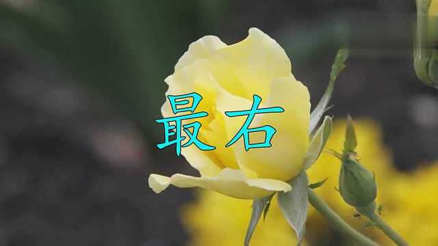 太好听了!龙梅子一曲《最右》点播量已经无数次