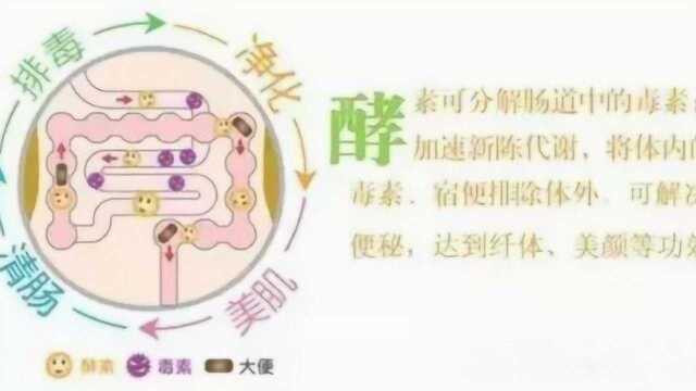 女孩吃孝素真能减肥吗?医生揭秘3种养生食品,都是骗人的!