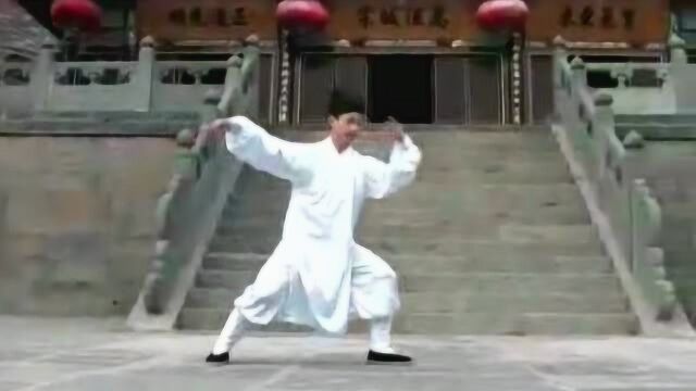 武当三丰派经典 三丰派太极拳28式