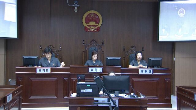 扫黑除恶进行时——河北法院集中宣判十起涉黑涉恶案件