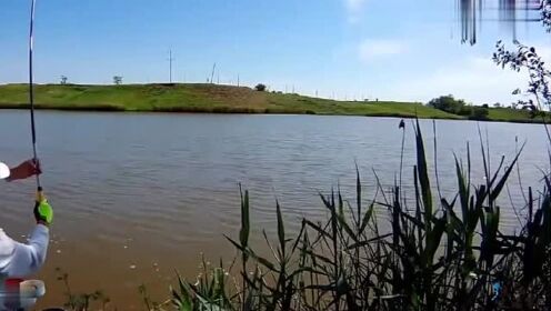 外国小伙钓鱼溜鱼这么久 - 腾讯视频