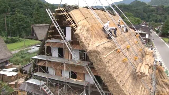 日本沿用至今的茅草屋顶建一个就得60万?看过程你知道钱花哪了?