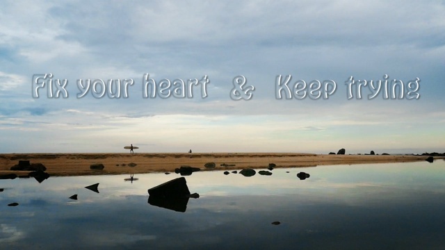 Fix your heart & keep trying沙卡冲浪俱乐部