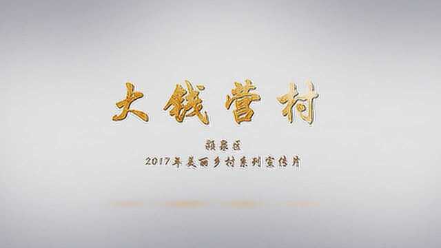 颍泉区2017年美丽乡村系列宣传片——大钱营村