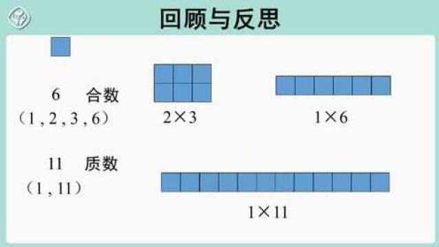 6. 质数和合数