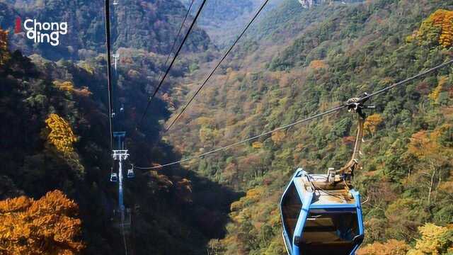 重庆入境旅游十大亮点