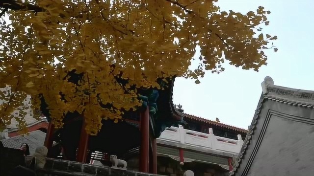 灵泉寺长春观