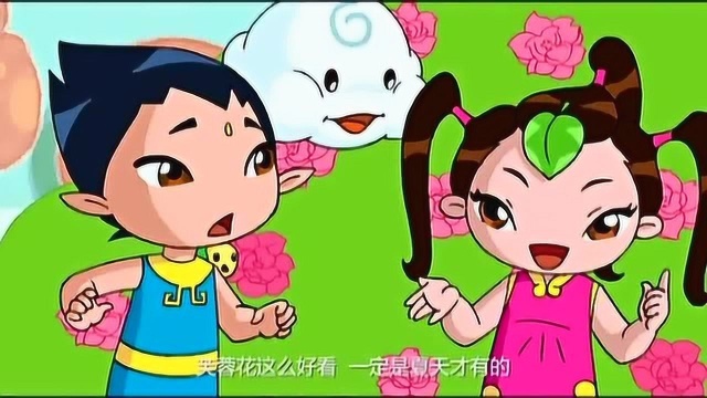 云朵宝贝:水仙姐姐猜对了,芙蓉花是秋天开的!