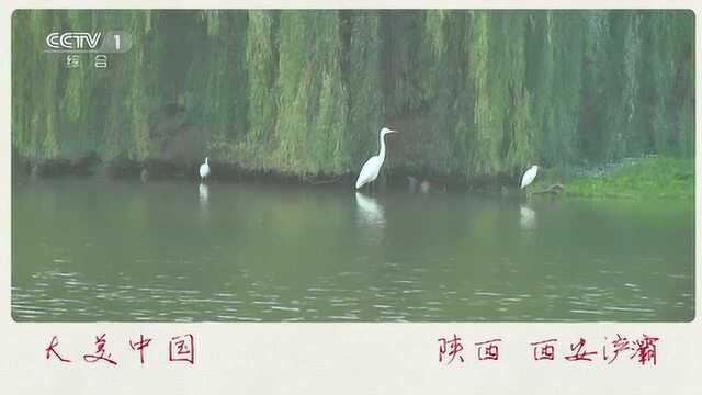 大美中国之陕西西安浐灞