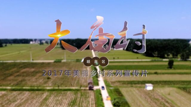 颍泉区2017年美丽乡村系列宣传片——大庙村