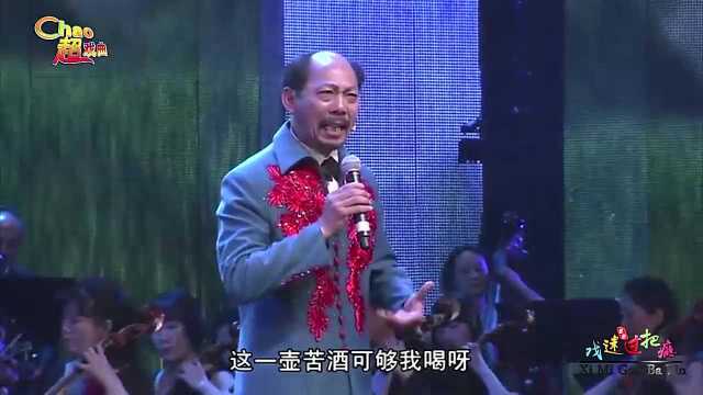 演员陈清华,演唱河南豫剧《儿大不由爹》搬起石头砸住自己的脚