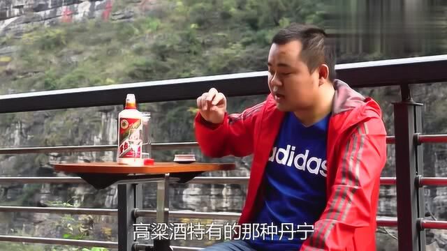 09年绿标茅台王子酒,虽然低端,色香味俱佳,绝对是坤沙口粮酒