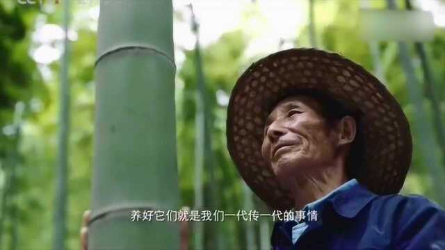 环保公益广告,把绿水青山留在人间,少点污染