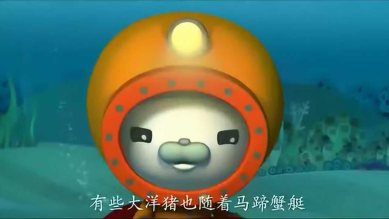 海底小纵队:大洋猪现在需要小纵队的警告_腾讯视频