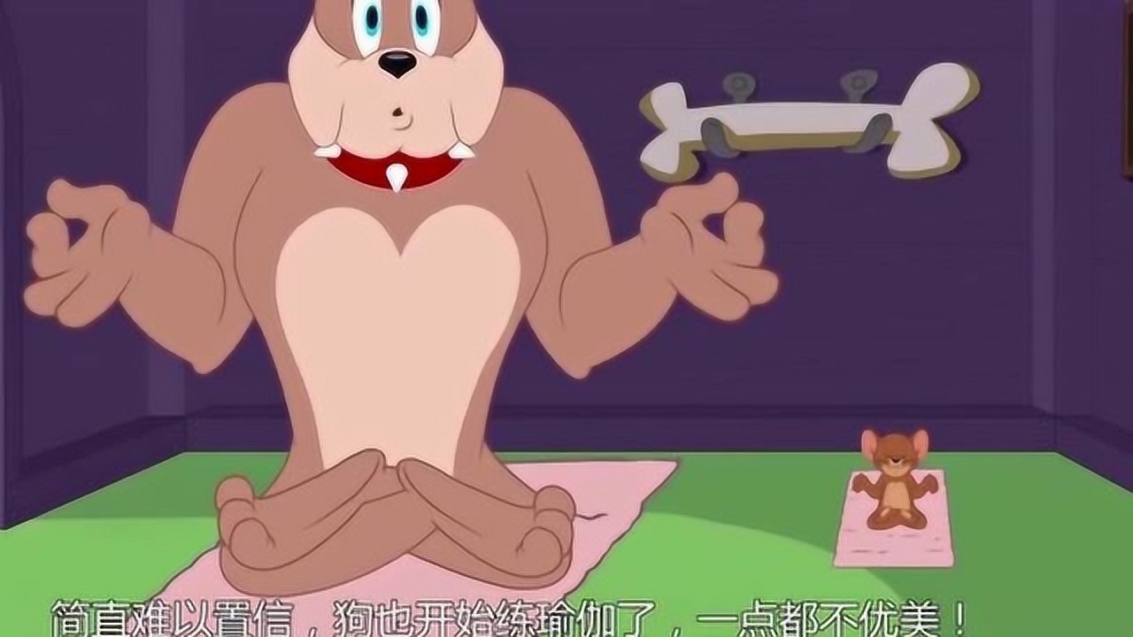 猫和老鼠杰瑞和斯派克一起练瑜伽世界如此美好不能那么暴躁
